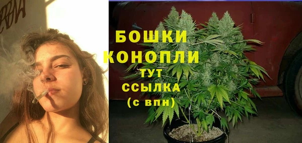 тгк Абаза