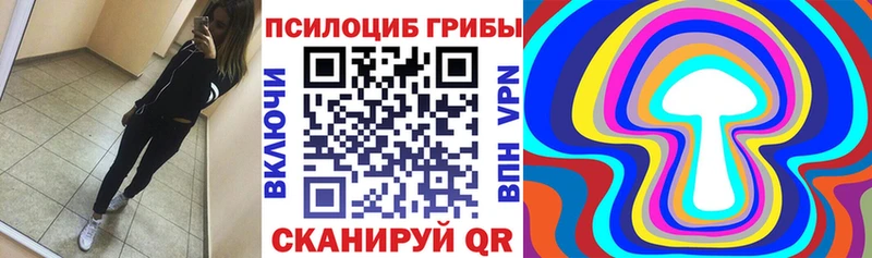ОМГ ОМГ как зайти купить наркотики цена Агрыз Галлюциногенные грибы мухоморы